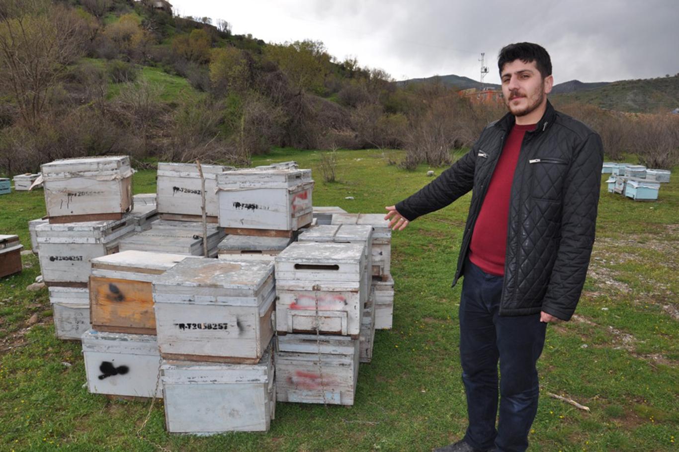 Arıları telef olan üreticiler yetkililerden yardım bekliyor